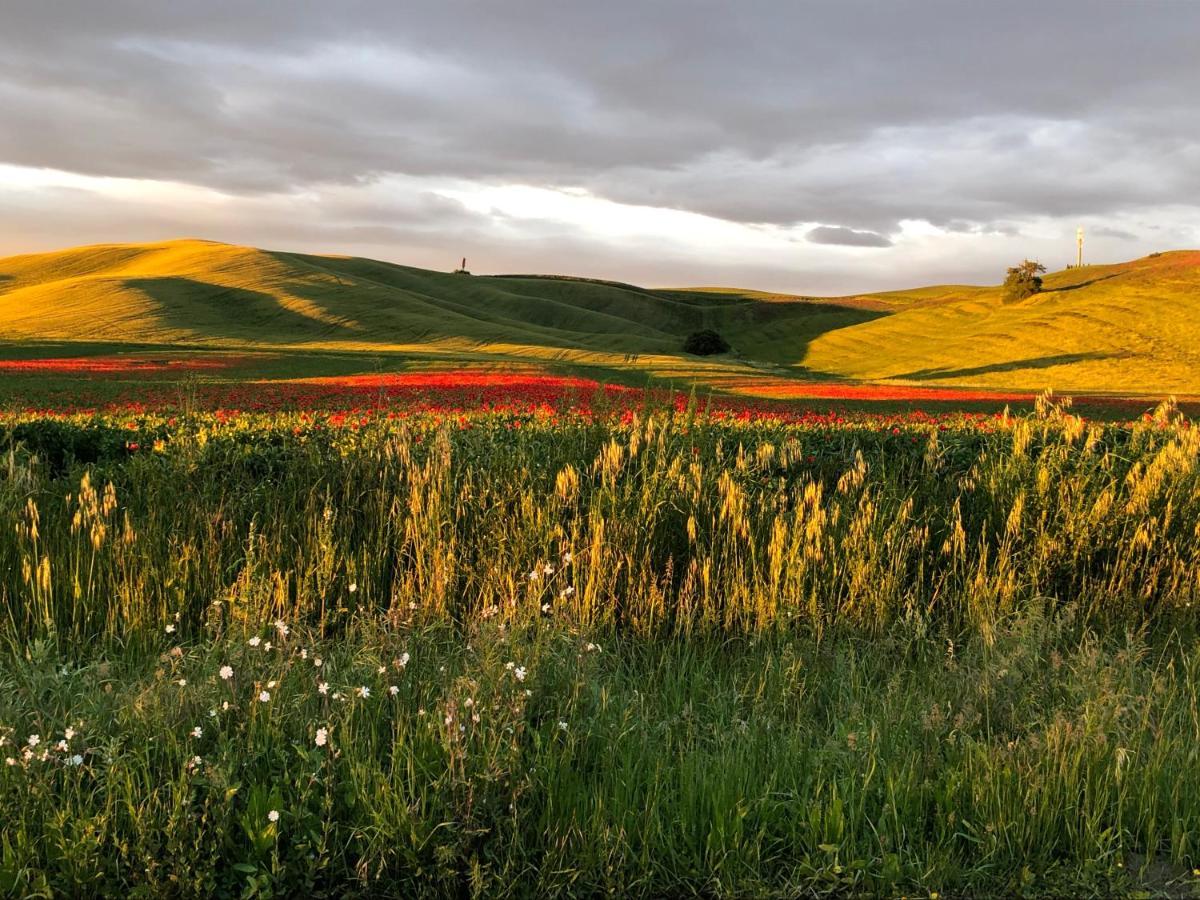 Tuscany Charme Boutique House Monteroni dʼArbia Esterno foto