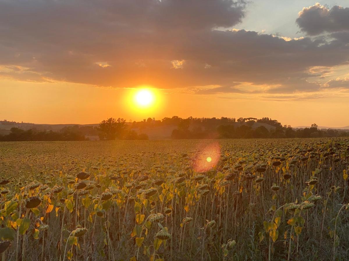 Tuscany Charme Boutique House Monteroni dʼArbia Esterno foto